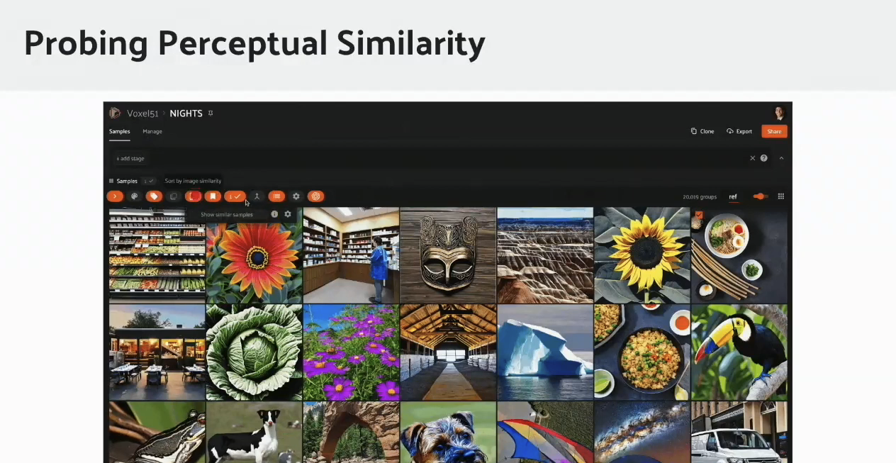Probing perceptual similarity-2