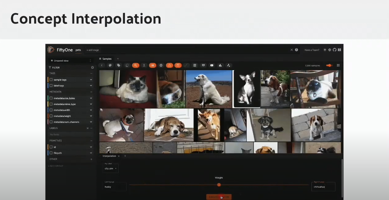 concept interpolation