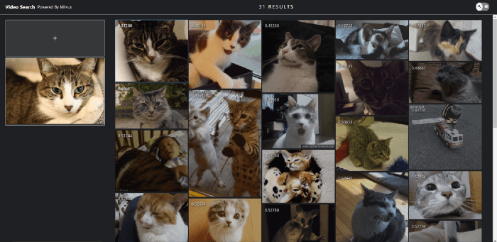 8-enjoy-recommender-system-cats.png