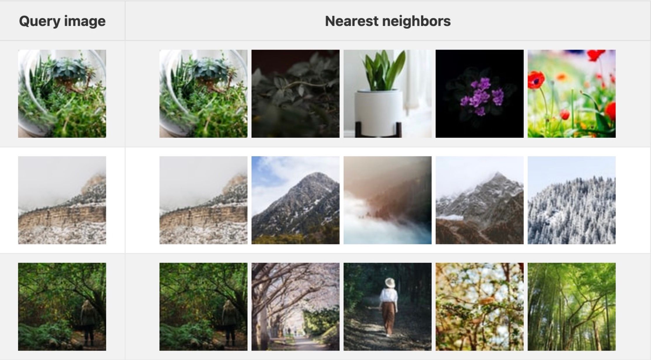 Approximate nearest neighbor search visualized