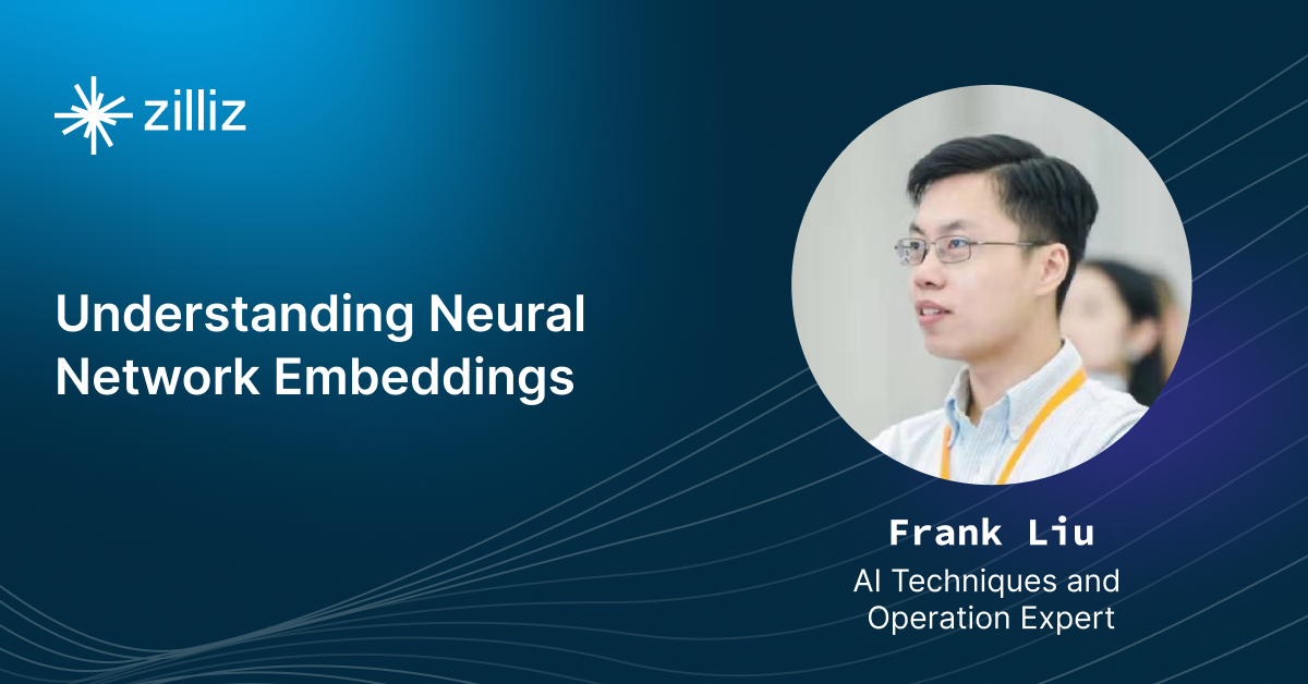 Understanding Neural Network Embeddings