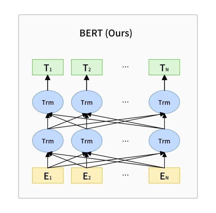 BERT’s network structure. ‘Trm’ represents the transformer network architecture depicted above.