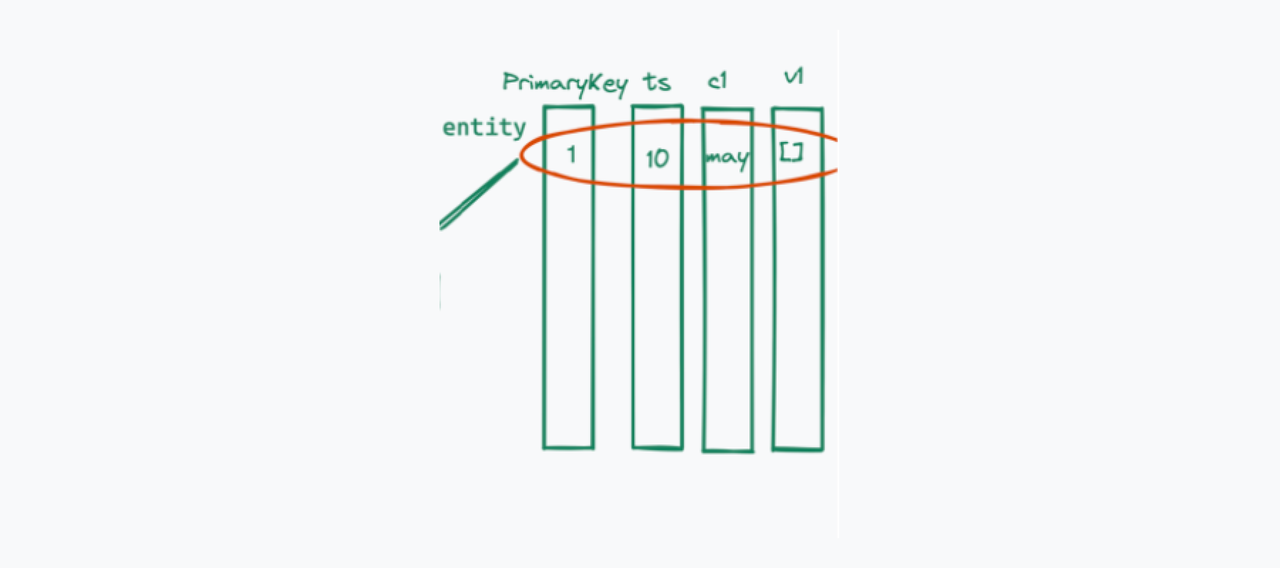 entity fields