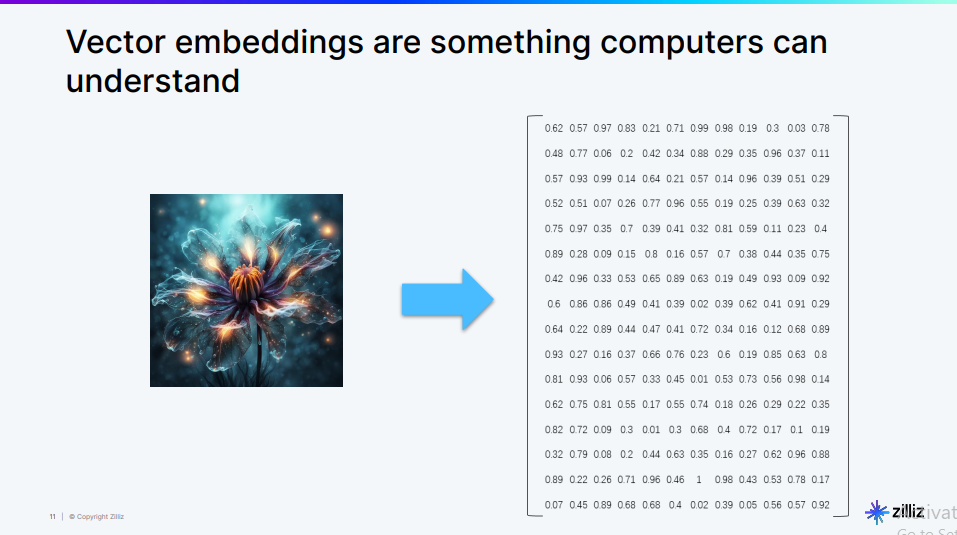 Fig 1- An image represented in vector format