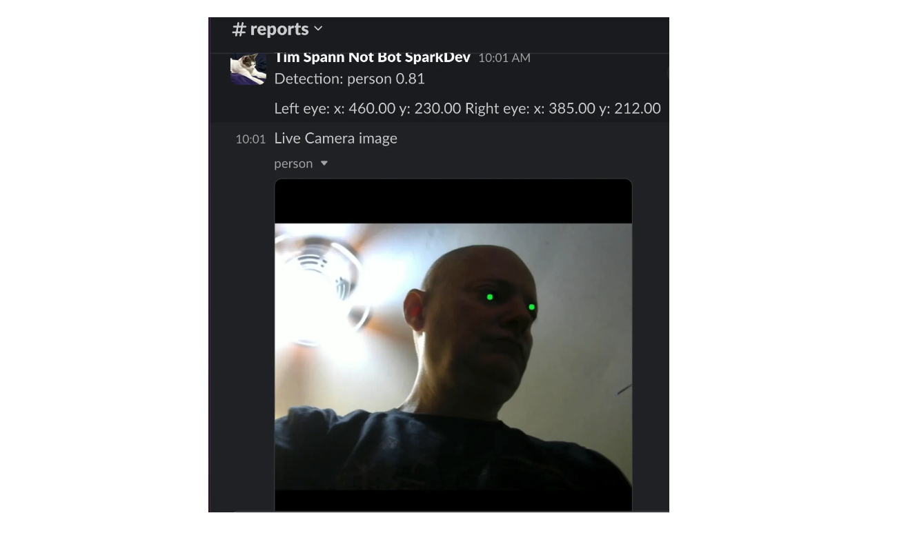 Fig 2- Output of a pose estimation program in Slack with eye landmarks marked with green dots.png