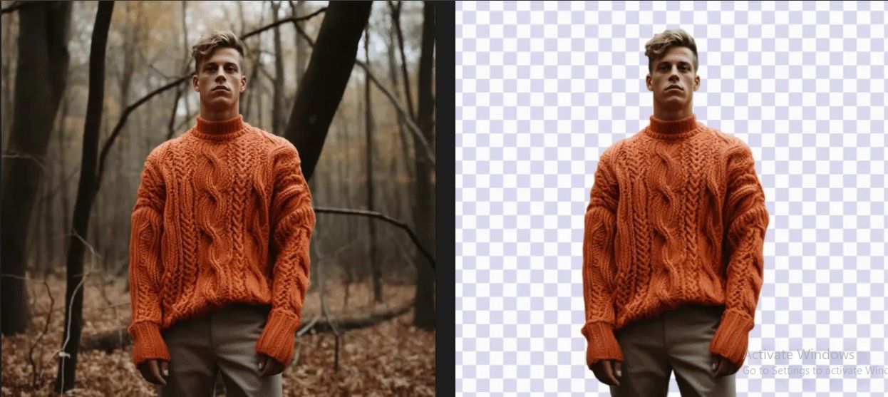 Fig 3- Side-by-side comparison showing the results of removing an image background using Storia lab