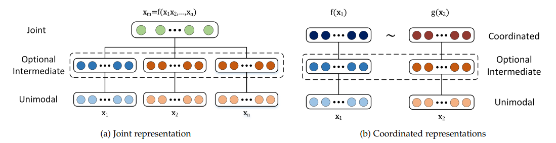 Figure 2- Structure of joint and coordinated representations.png