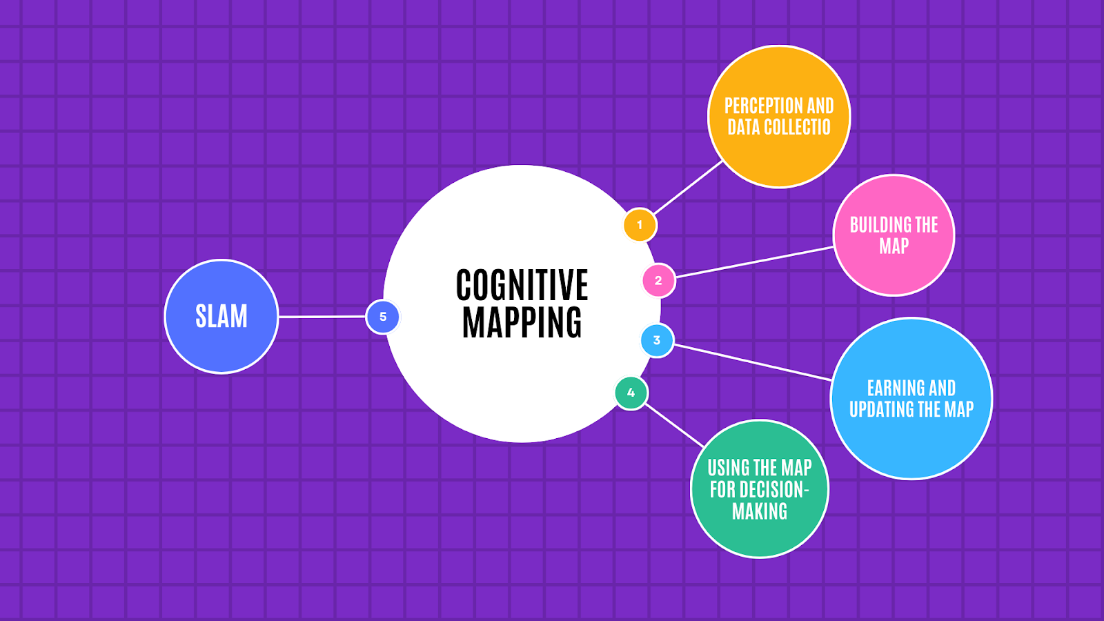 What Is Cognitive Maps 