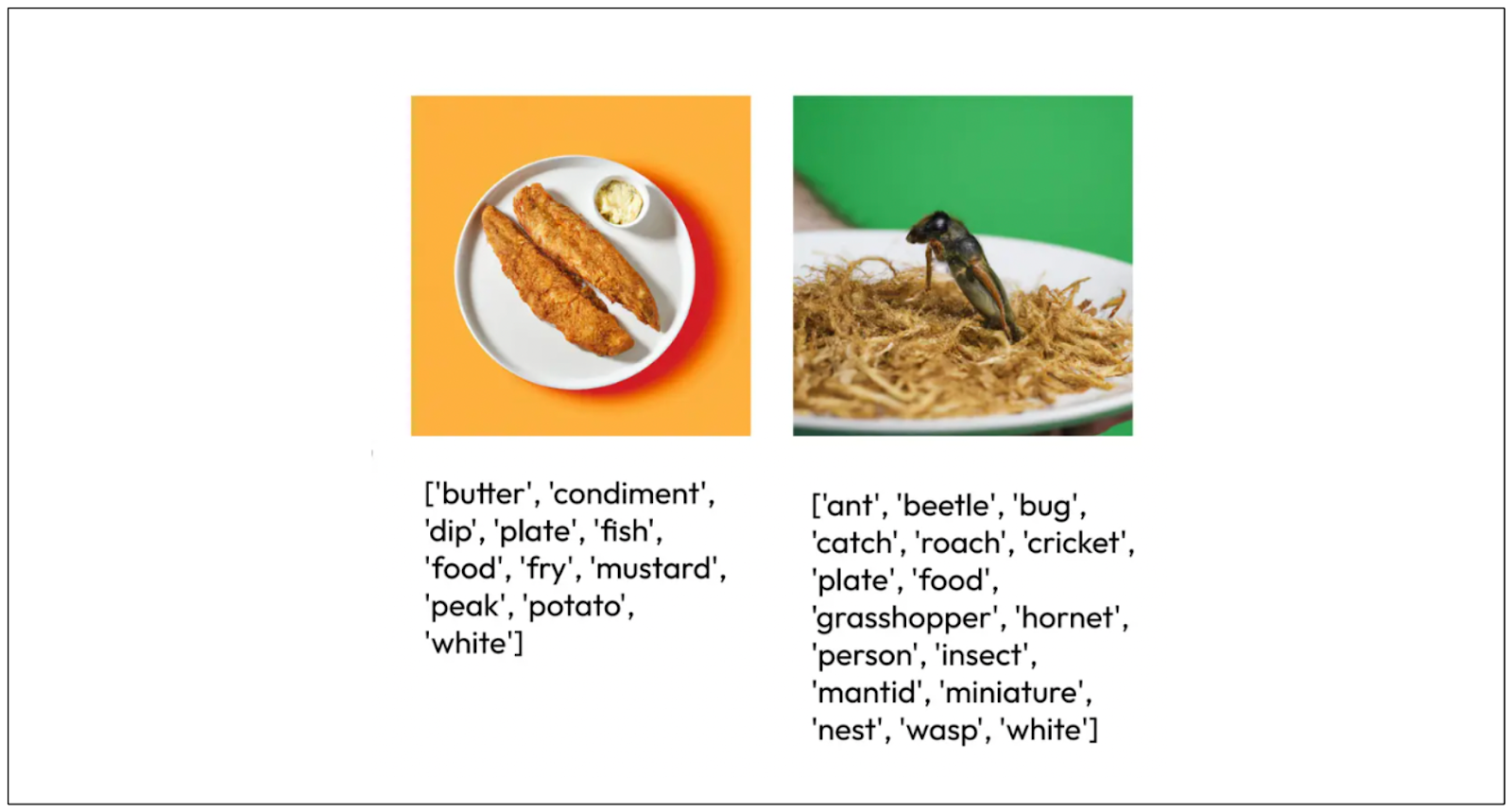 Image tagging with the Swin-Transformer model.png