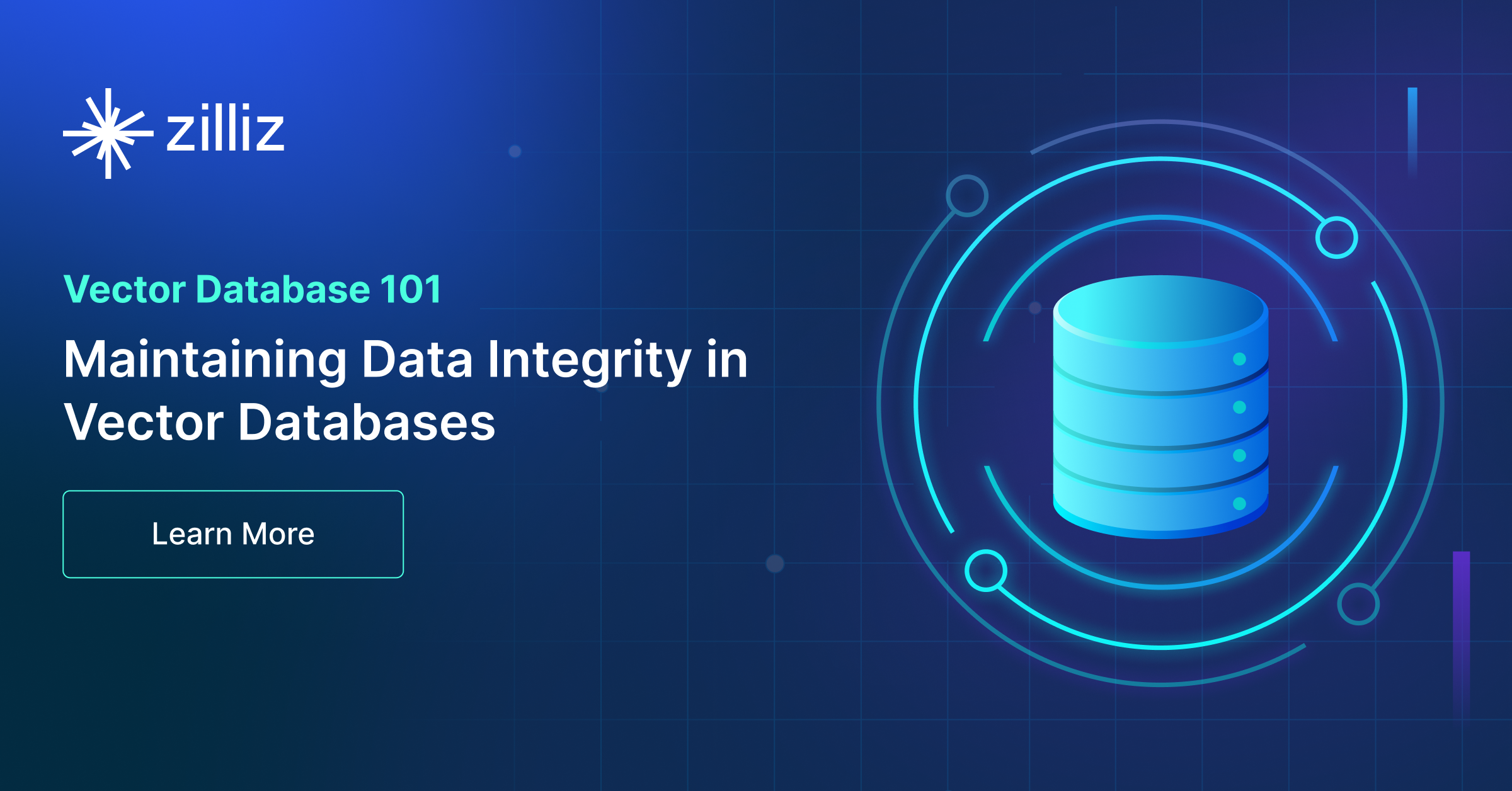 Maintaining Data Integrity in Vector Databases