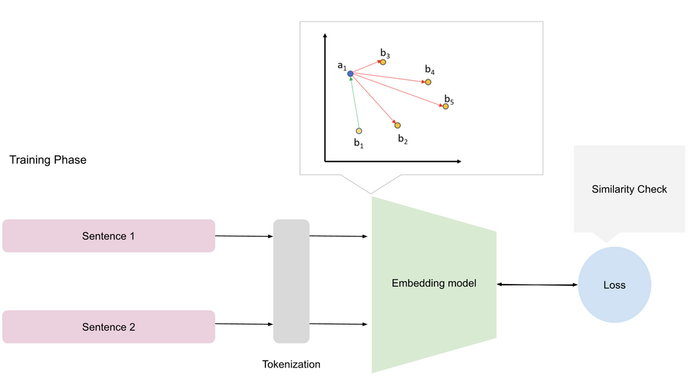 Training phase of the embedding model