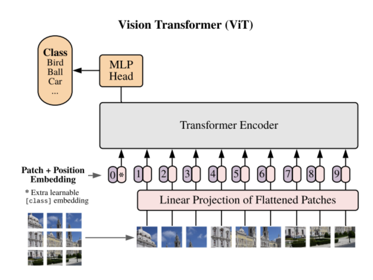 ViTアーキテクチャ.png