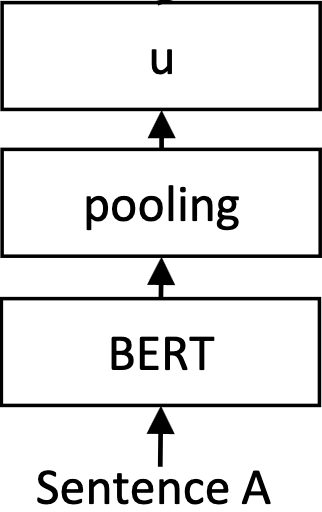 bert pool