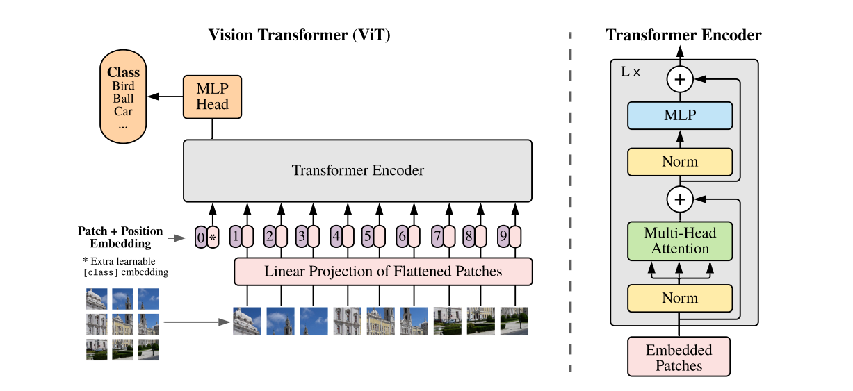 Figure_3_Vi_T_Architecture_Source_5f8b46cff2.png