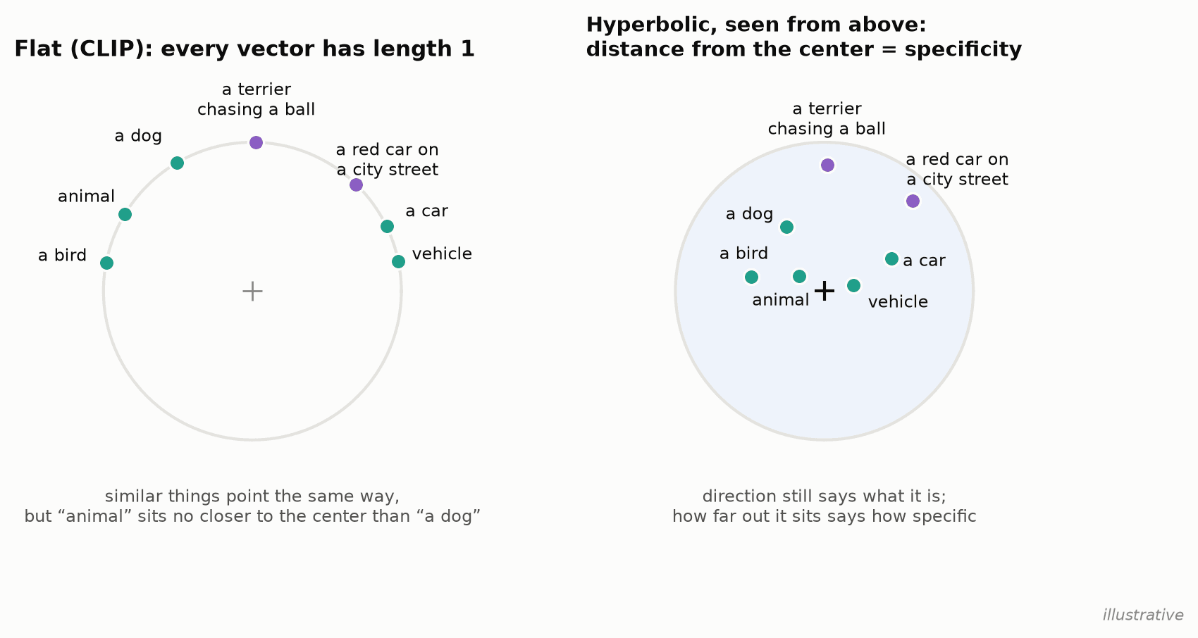 In both spaces, direction says what an item is. Only in hyperbolic space does distance from the center also say how specific it is.
