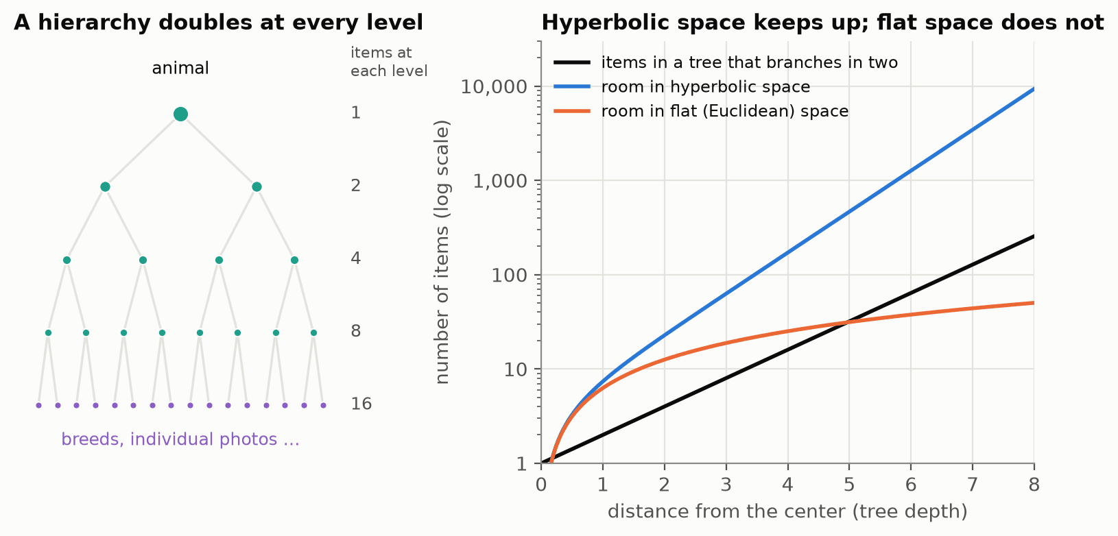 Read the right-hand panel left to right as going deeper into a tree. The vertical axis is logarithmic, so the doubling tree (black) is a straight line. Hyperbolic room (blue) stays above it at every depth; flat room (orange) falls below it around depth 5, which is why a flat model has to add dimensions to fit a big hierarchy.