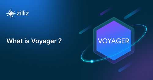 small_What_is_Voyager_c07dcdc9