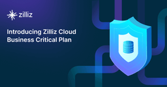 Business Critical Plan